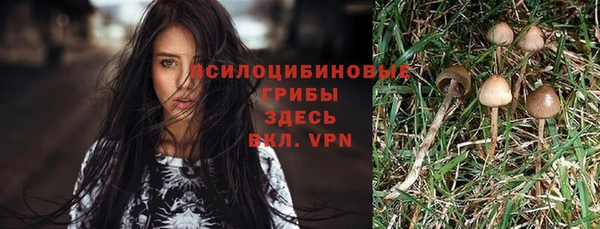 ГАЛЛЮЦИНОГЕННЫЕ ГРИБЫ Алзамай