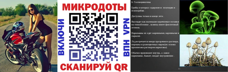 Галлюциногенные грибы Psilocybine cubensis  Курск 