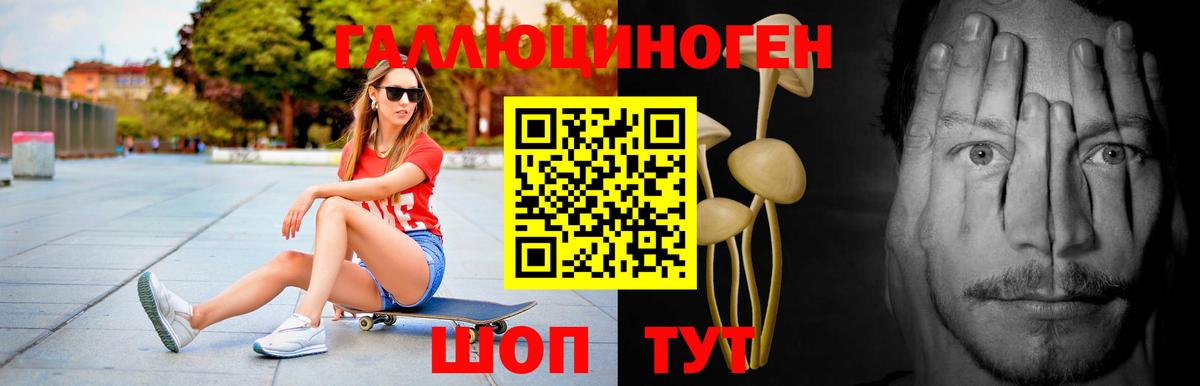 Псилоцибиновые грибы Psilocybine cubensis Курск