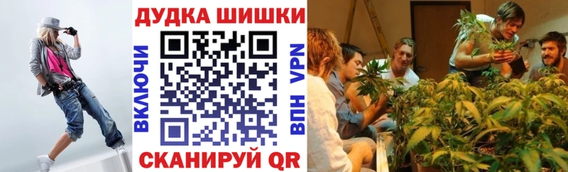 Каннабис семена  mega ссылки  Курск 